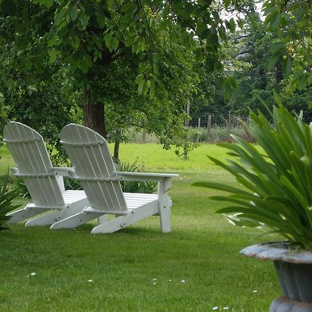 B&B Schoon Goed Gingelom ภายนอก รูปภาพ