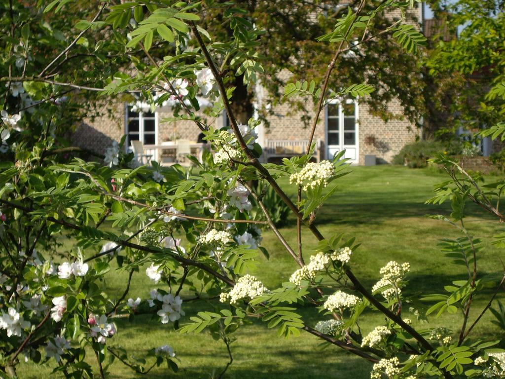 B&B Schoon Goed Gingelom ภายนอก รูปภาพ